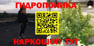 скорость Кандалакша