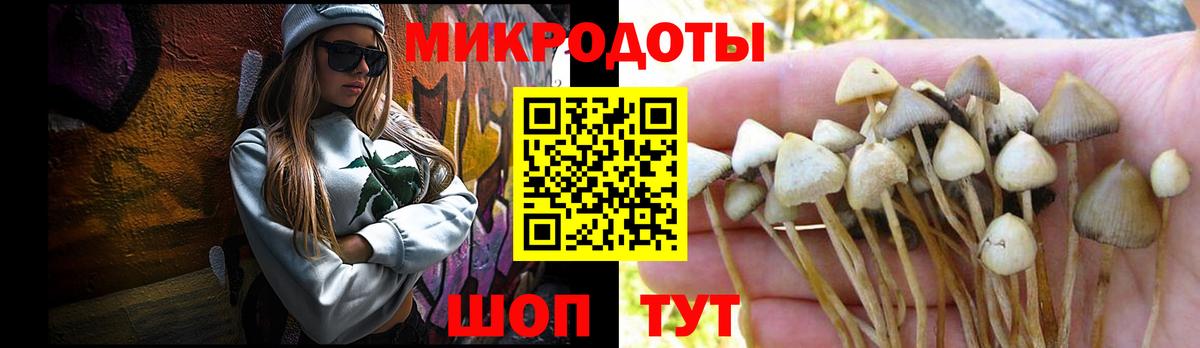 Псилоцибиновые грибы ЛСД Михайловск